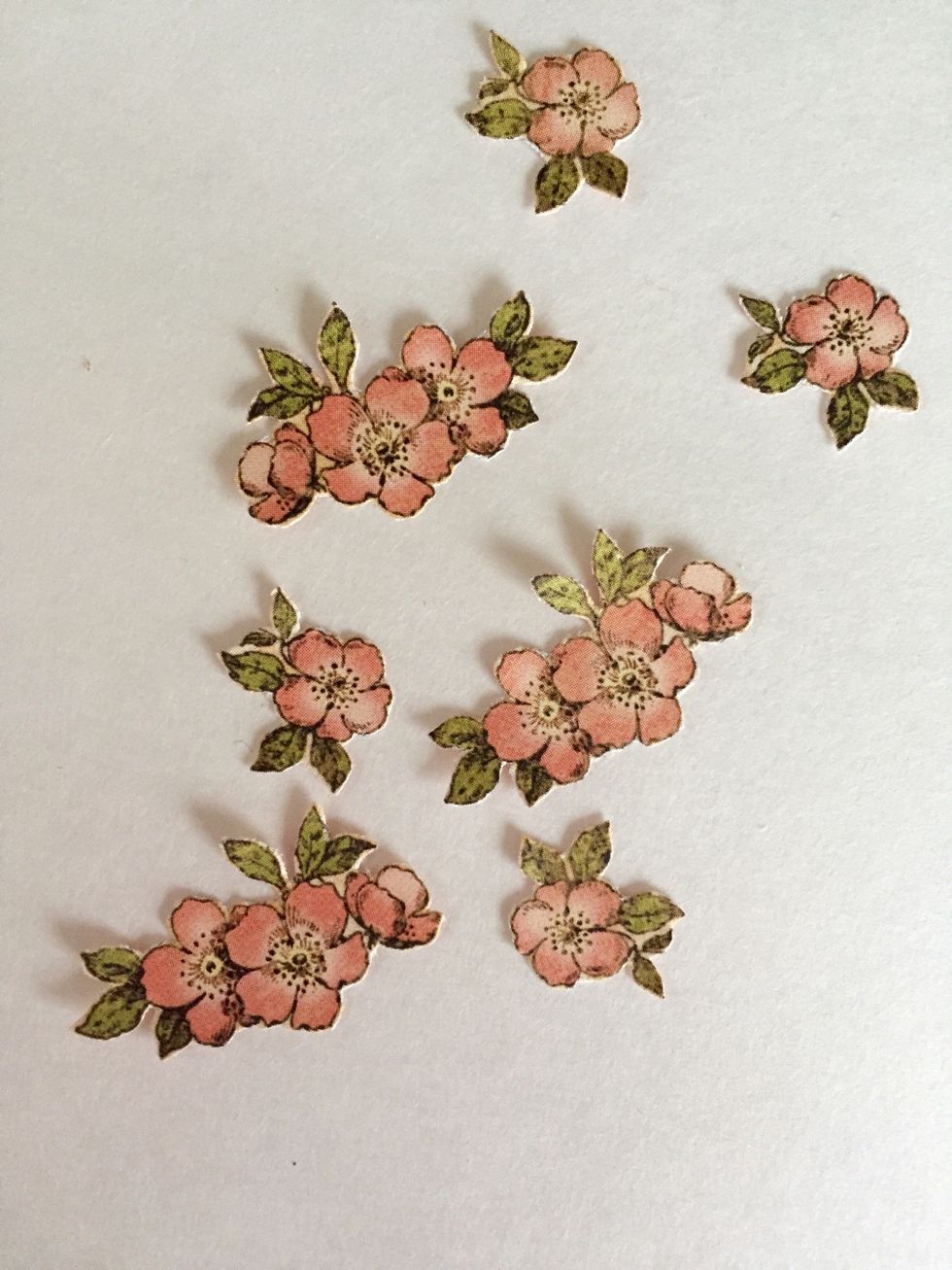 From Springtime paper, fussy cut the flower images.