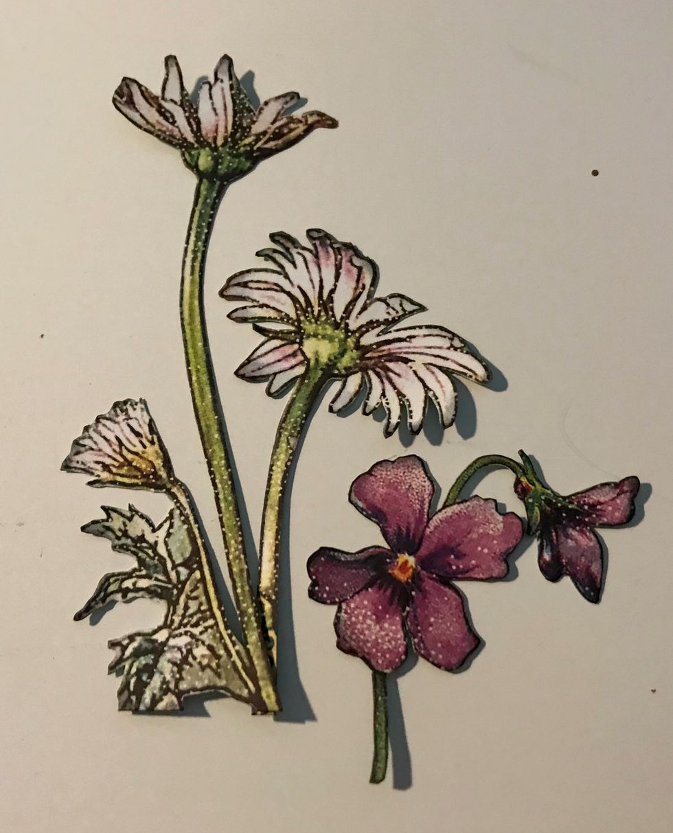 From the Fairie Dust paper, cut out the daisy bunch as well as the pansy bunch. Ink the edges of the flowers using Photogenic Ink and a blending tool with foam.
