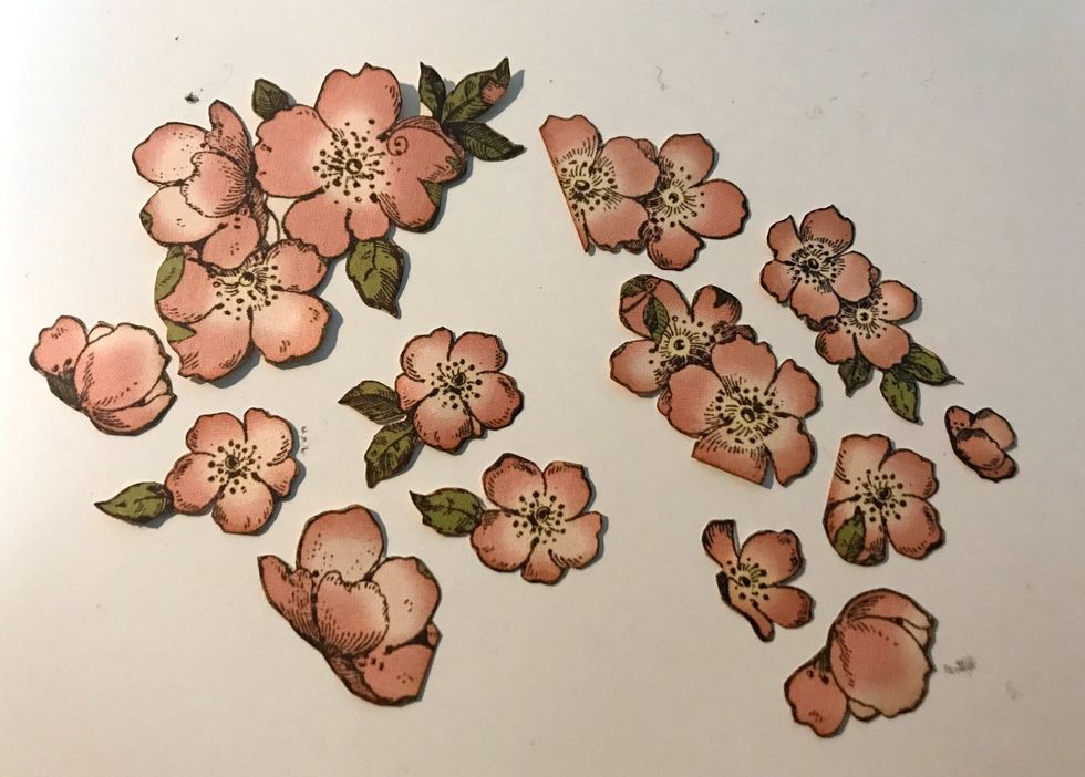 From the flower out of the Once Upon a Springtime DCE, fussy cut 13 flowers out. Ink the edges of the flowers using Vintage Photo Distress Ink.