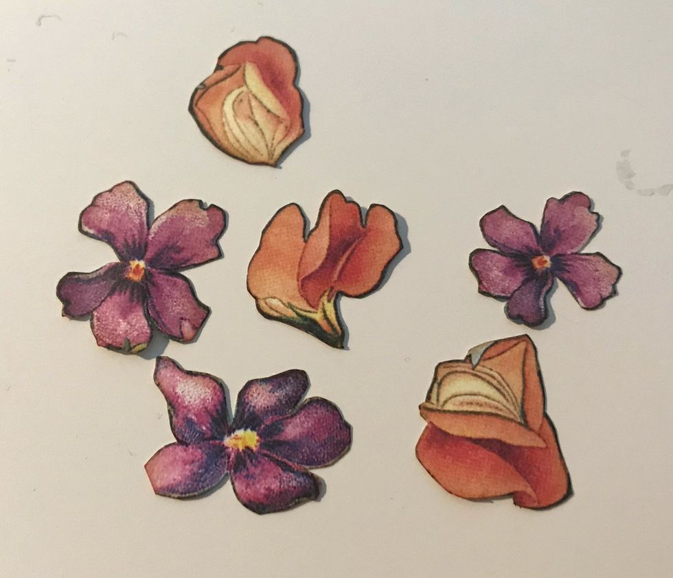 From the Moonlit Blooms paper, fussy cut out 3 purple flowers and 3 coral flowers out. Ink the edges of the flowers using Vintage Photo Distress Ink.