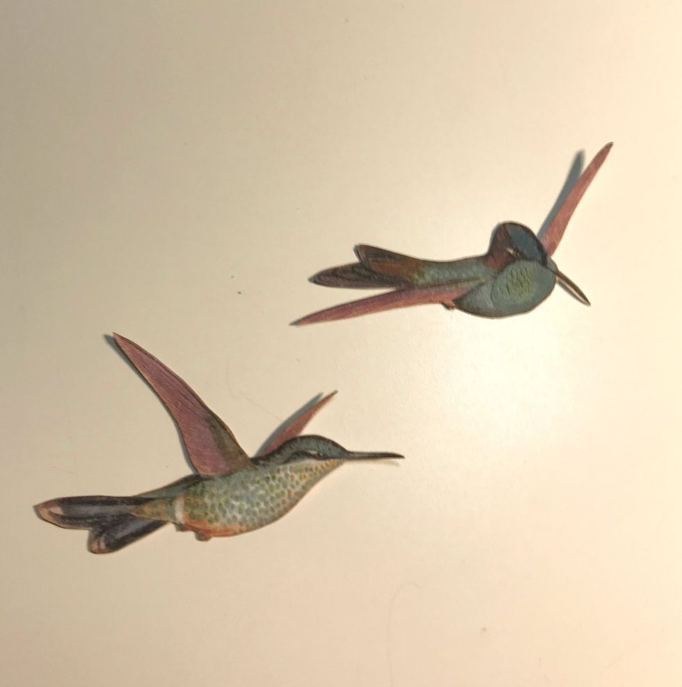 From the patterned papers, fussy cut two hummingbirds. Ink the edges of the hummingbirds using Vintage Photo Distress Ink.