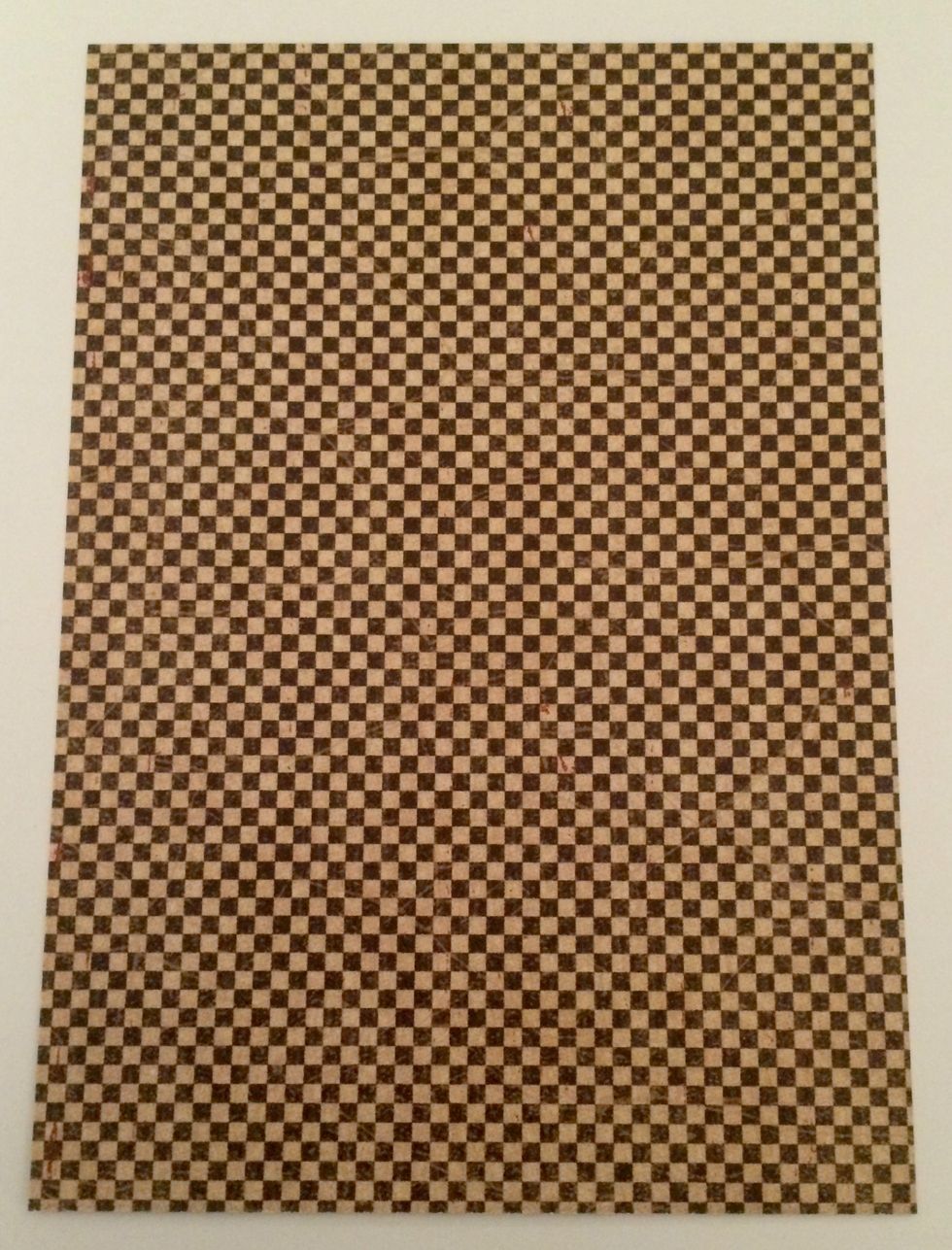 From the Square Here paper, cut a piece that measures 4 3/4" x 6 3/4".