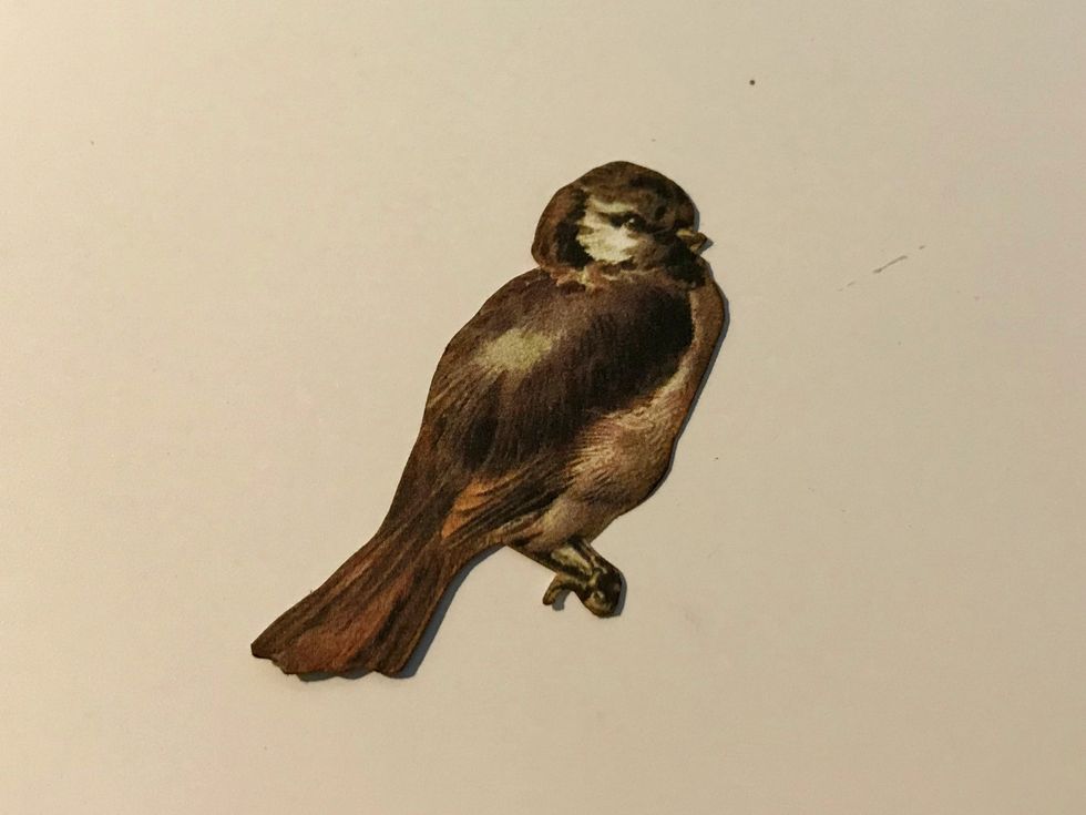 From the Winter Paper, fussy cut a third bird out. Ink the edges of the bird using Dark Cashmere Ink.