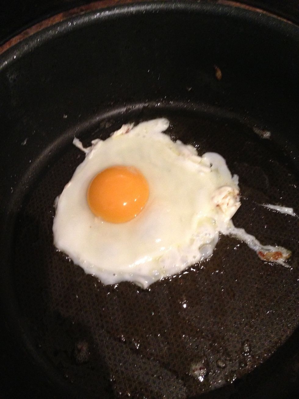 Fry egg
