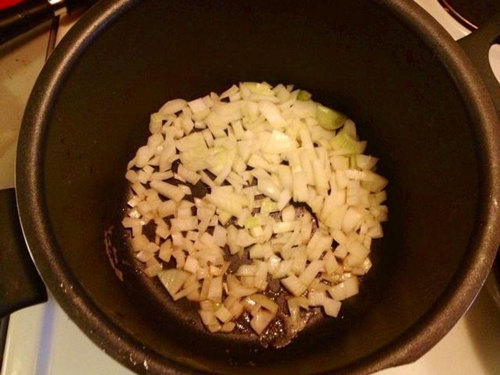 Fry the onion and garlic for a minute or so.