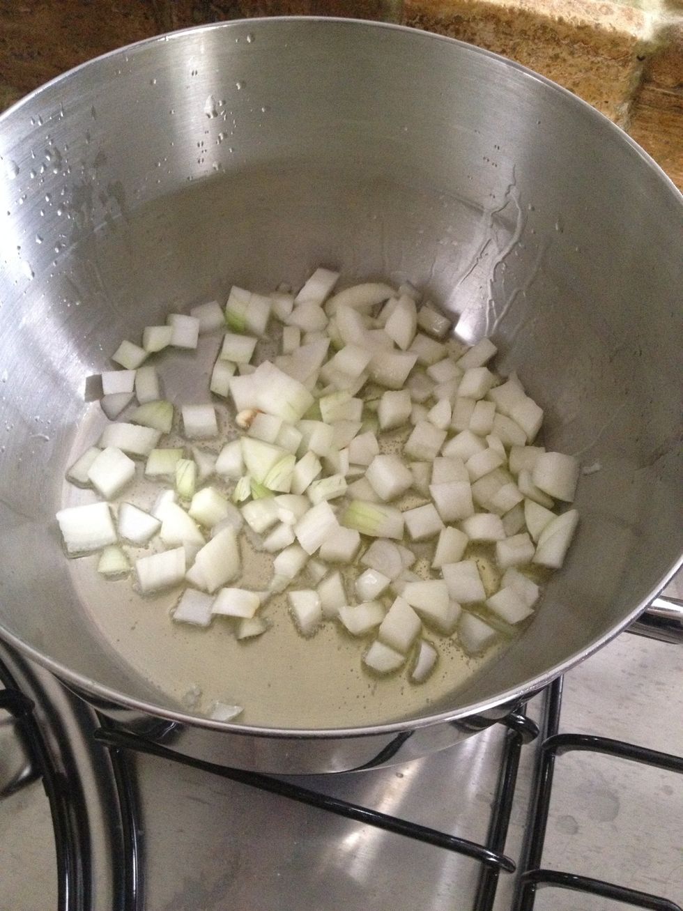 Fry the onion until it is yellow