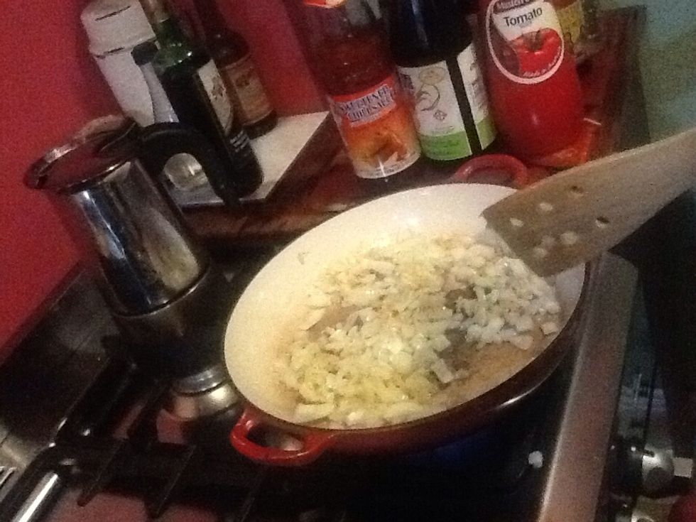 Fry the onions in the canola oil.