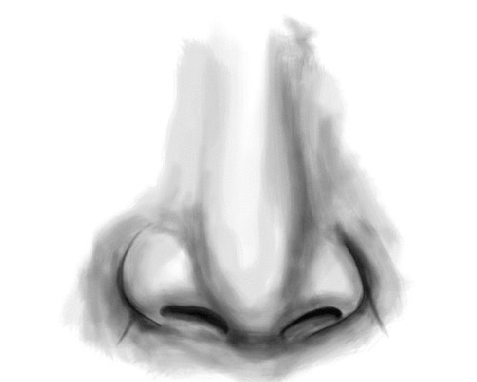 Further the value range to increase the illusion of form.