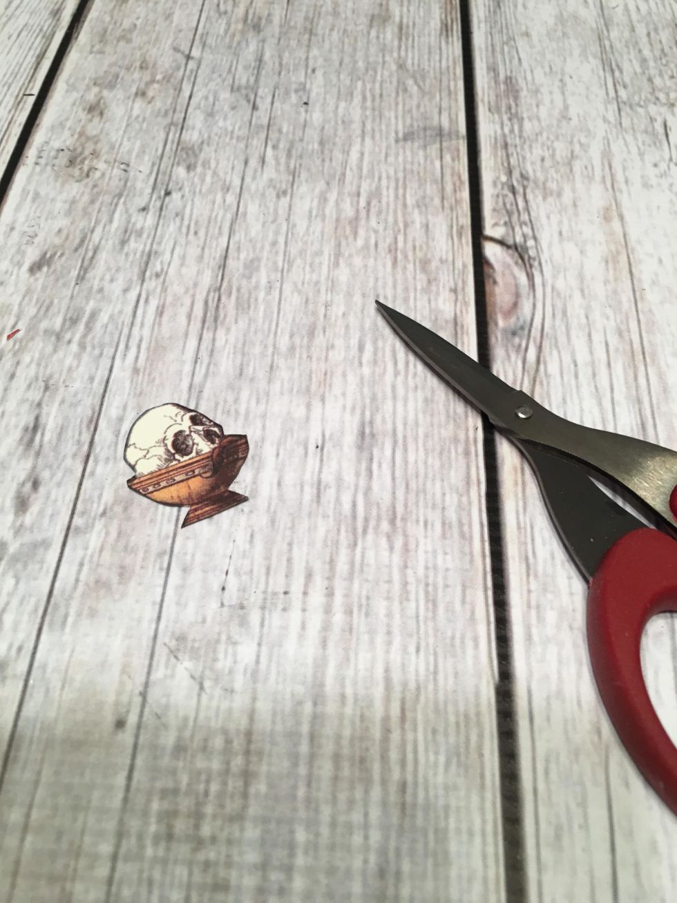 Fussy cut out a skull in a bowl.