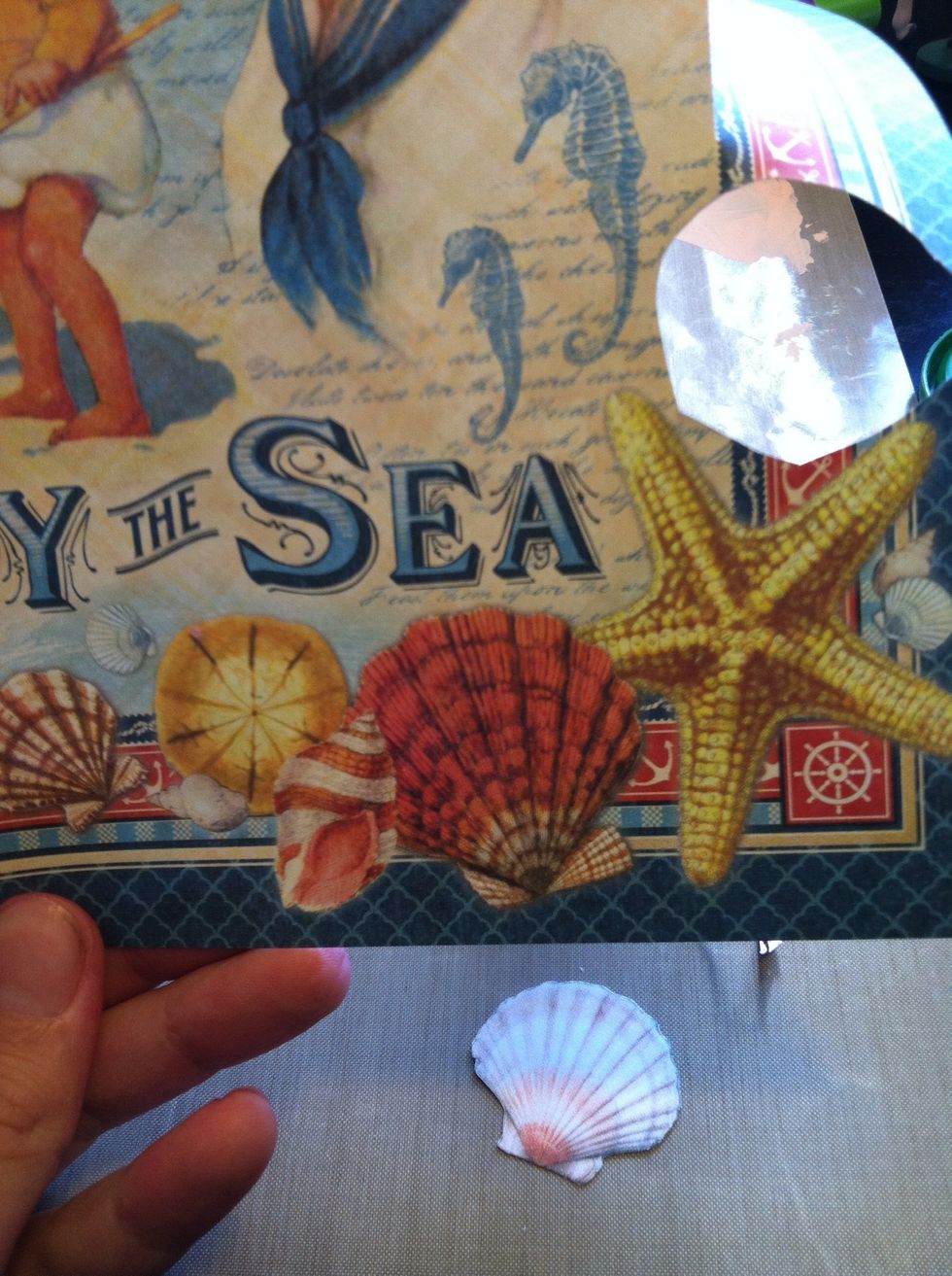 Fussy cut out all the shells!