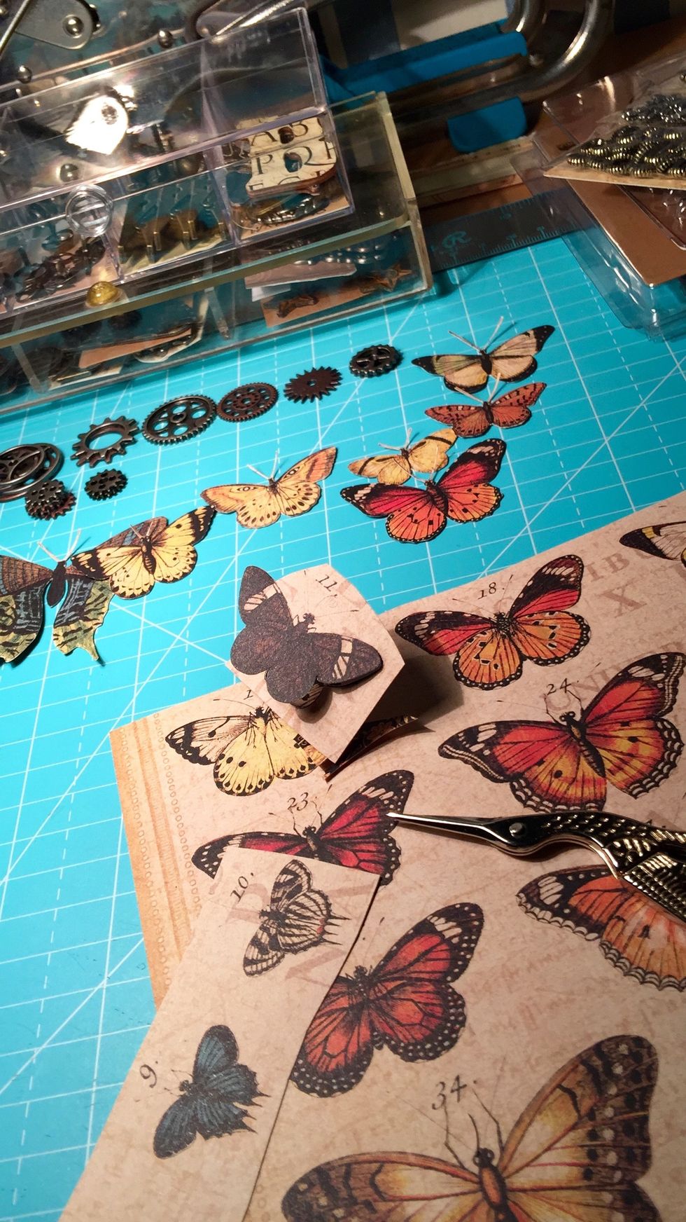Fussy cut some butterflies.