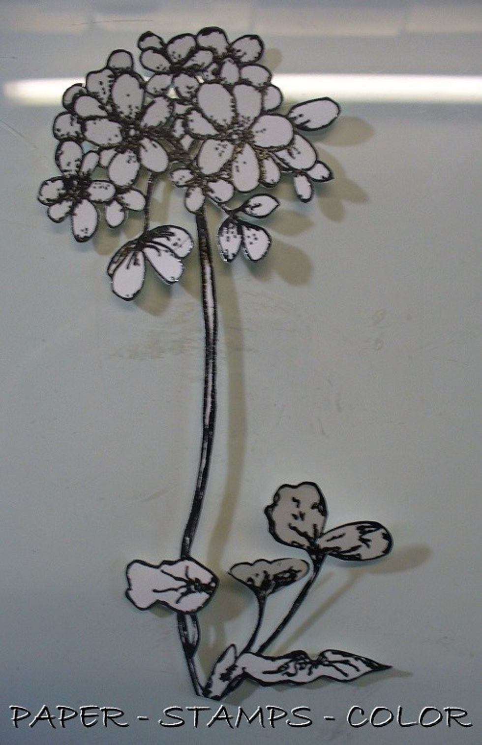 Fussy cut the stamped image.