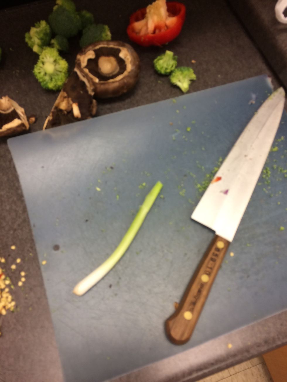 Gather 1 green onion