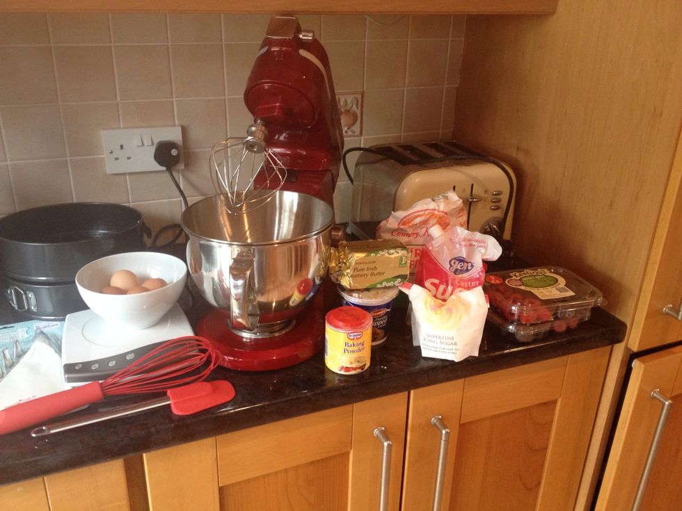Gather all ingredients and equipment needed.