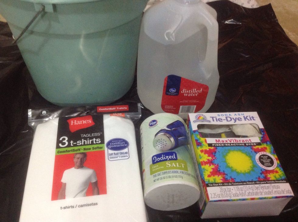 Gather all supplies needed: t-shirt, dye kit (Tulip brand recommended), bucket, table salt, tarp and water.