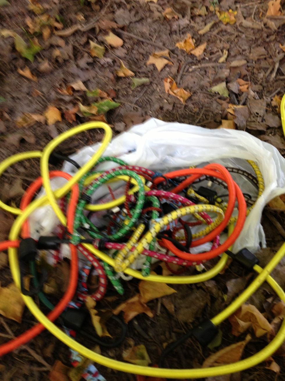 Gather an assortment of bungee cords