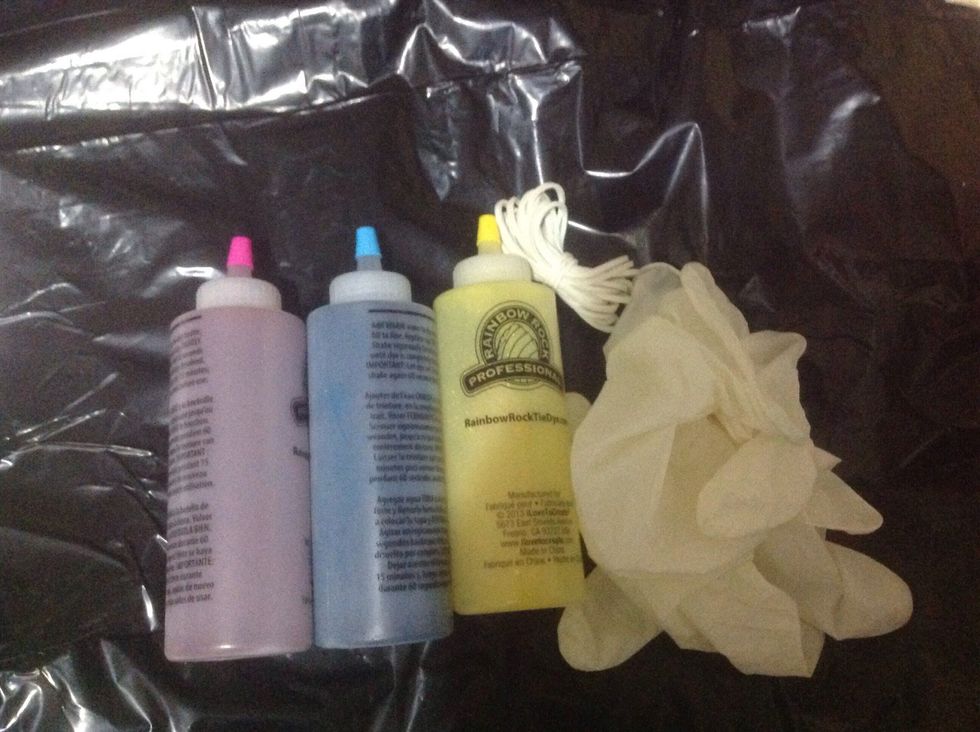 Gather dye kit supplies. This should include dye, squirt bottles, gloves and rubber bands.