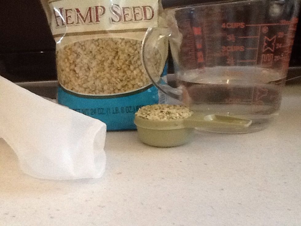 Gather filtered water, hemp seeds, clean paint strainer, and high speed blender.