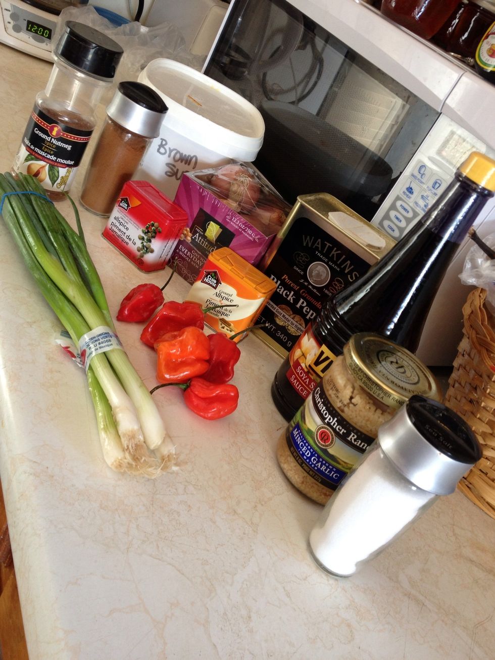 Gather supplies & a blender!