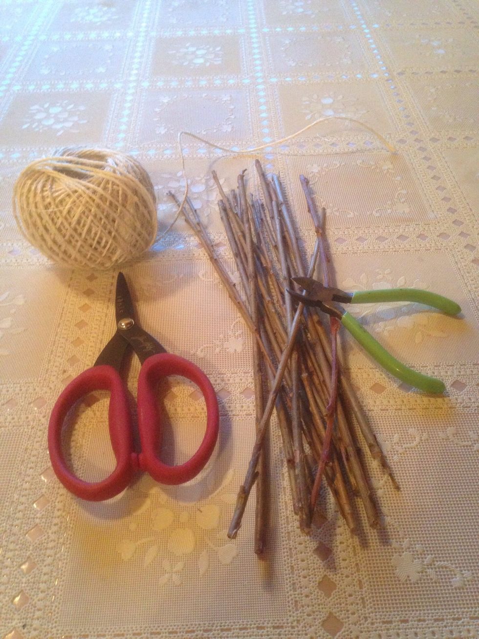 Gather supplies to make stem.