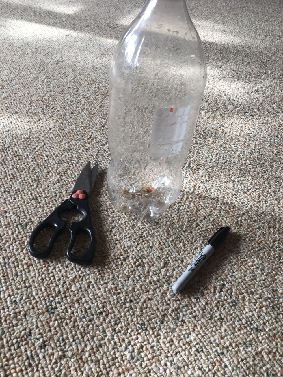 Gather supplies
