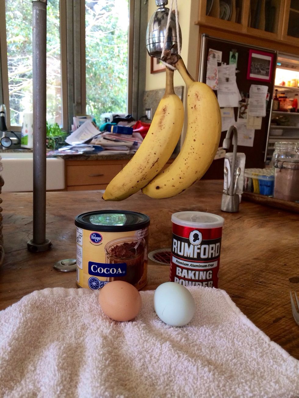Gather the ingredients.