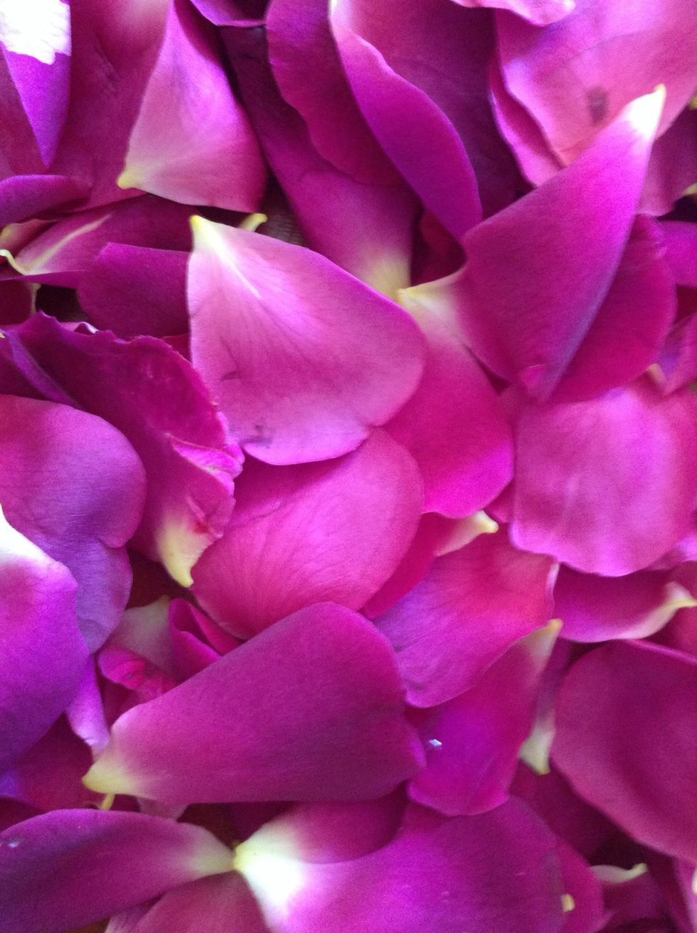 Gather the petals