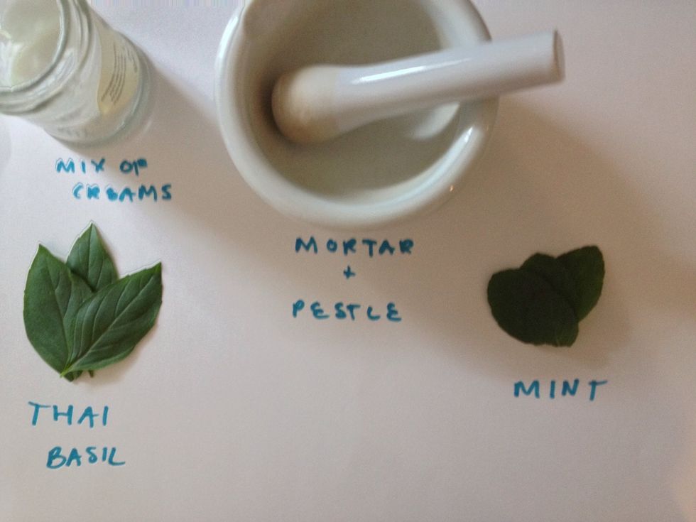 Gather your beginning supplies. Mint/ basil leaves, mortar and pestle and mix of creams.