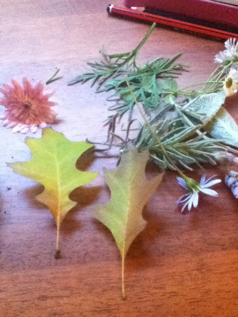 Gather your floral supplies. Small thin things will work better, but you can try thick ones too. Daisies are best.