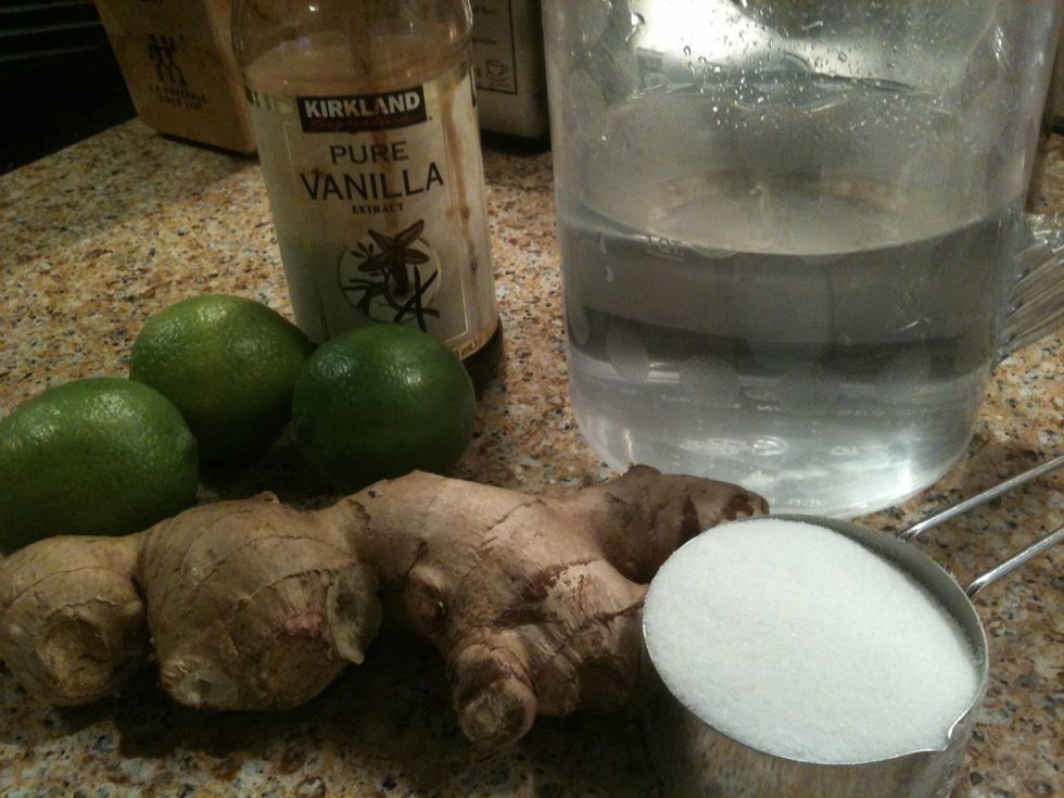 Gather your ingredients and let's make some ginger ale!
