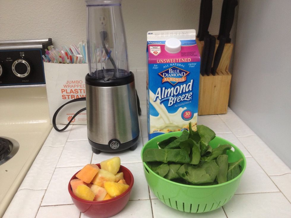 Gather your ingredients. I used almond milk, spinach, and tropical frozen fruit mix.