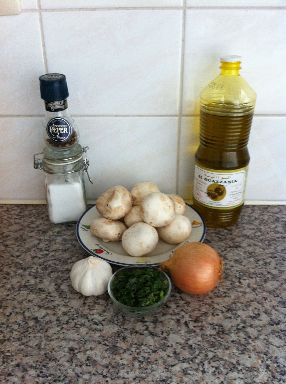 Gather your ingredients. I used my own frozen parsley.