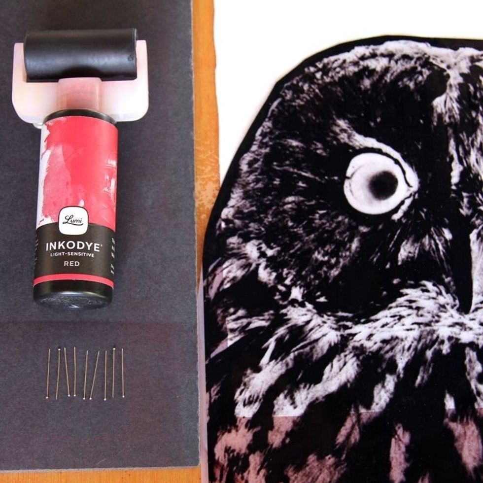 Gather your materials for printing. You will need Inkodye, a negative, fabric for printing, straight pins, and cardboard or a foam board to work on.