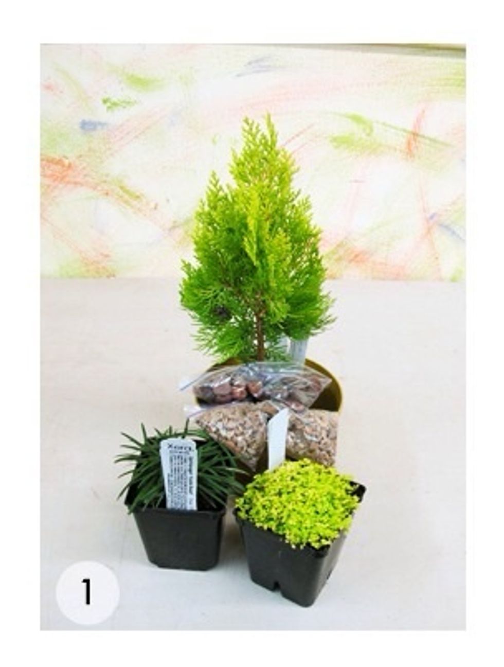 Gather your materials. Your garden can use moisture loving plants like ferns, mosses, and grasses, or xeric plants like succulents and cacti. Add bark, gravel, stones, shells--you are the artist!