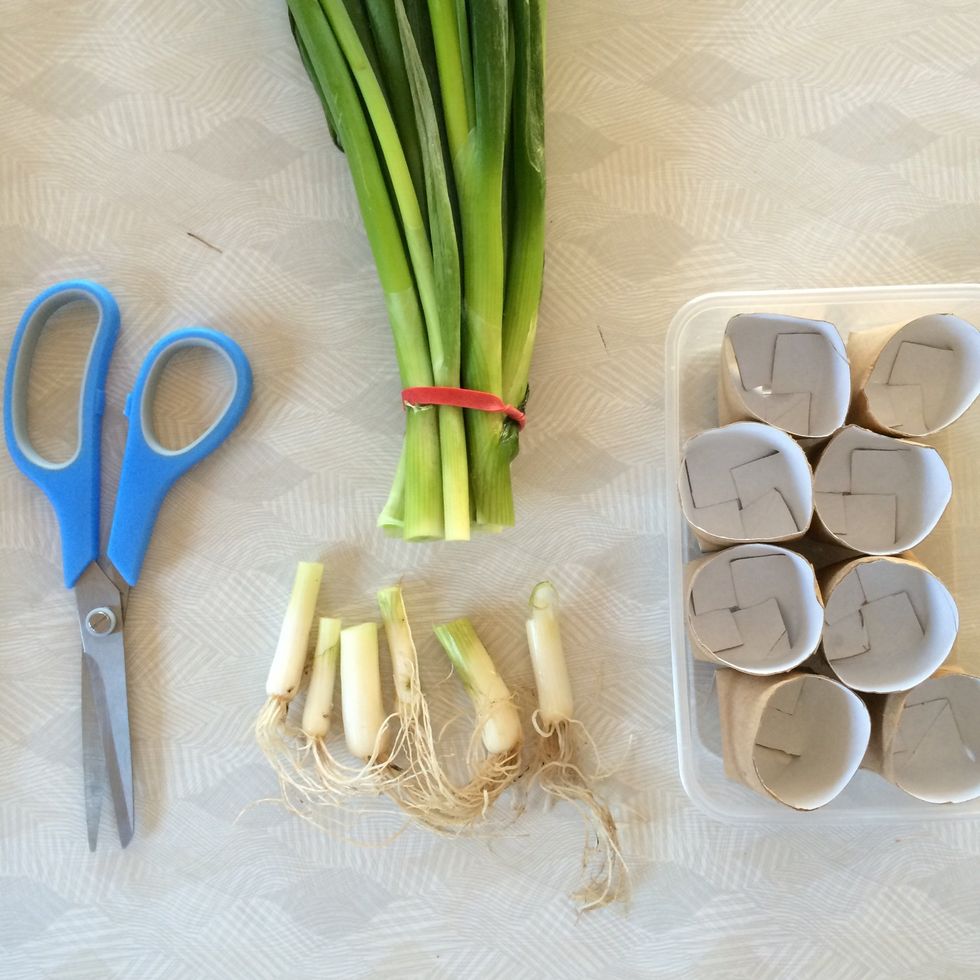 Gather your supplies. Important that your spring onions have roots. You can use anything to plant into, even just one large pot.