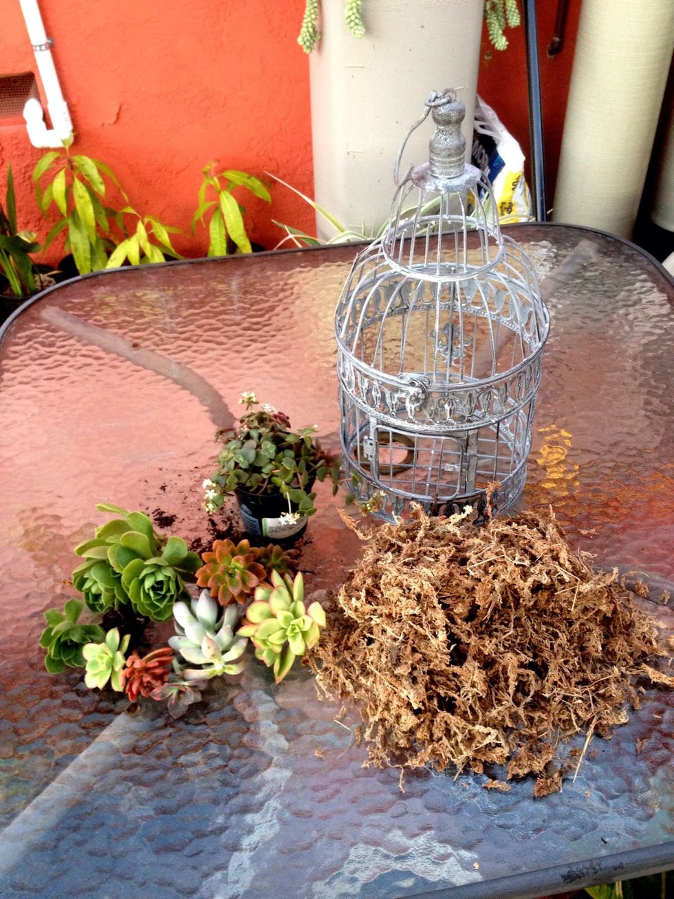 Gather your supplies.