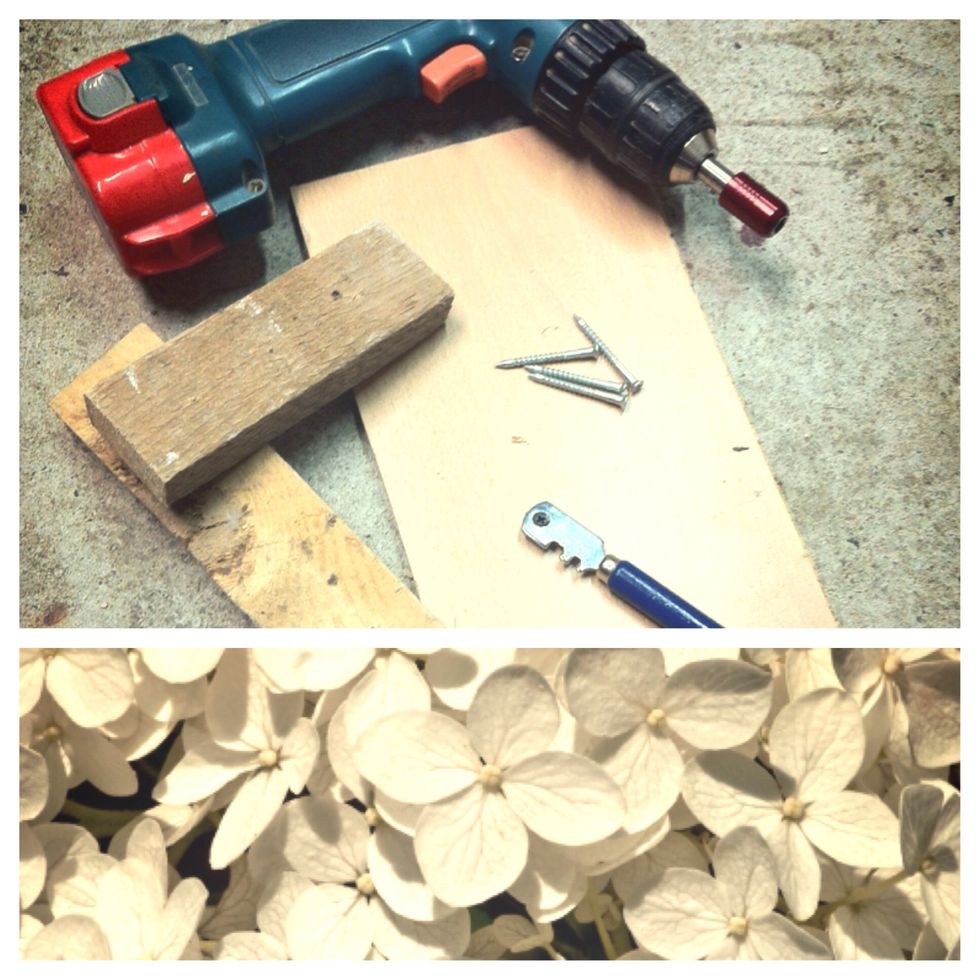 Gather your supplies.