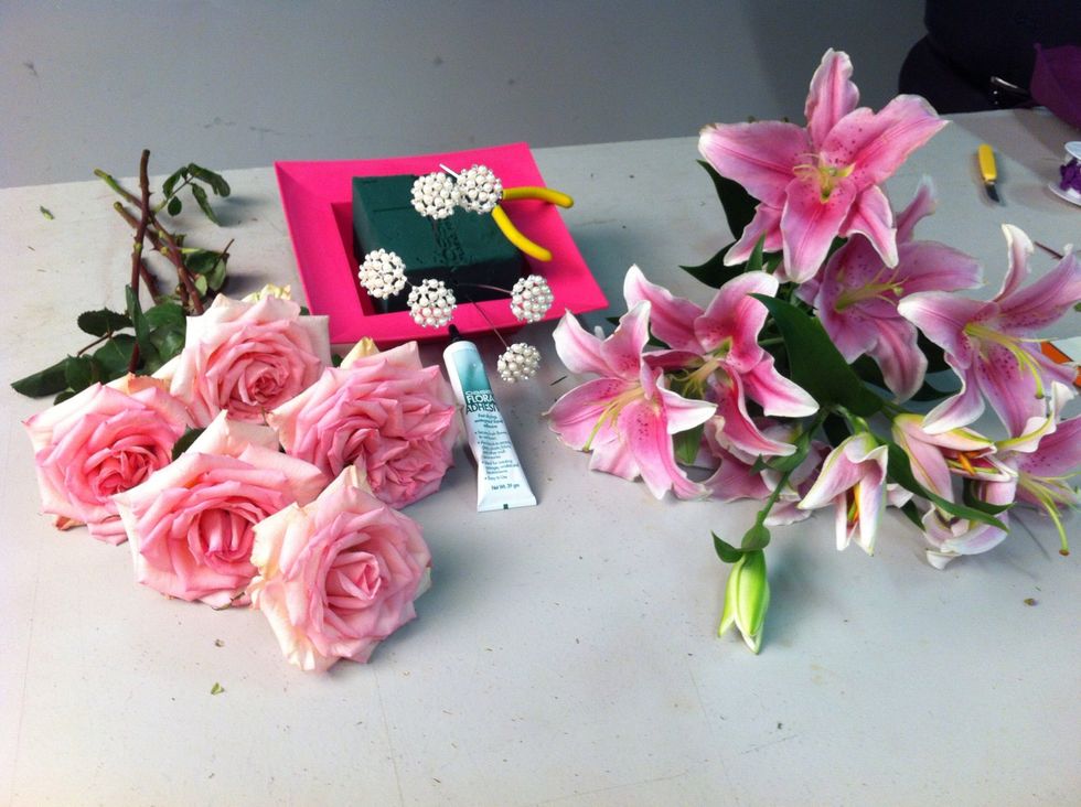 Gather your supplies!