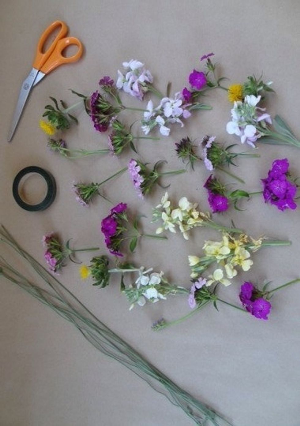 Gather your supplies.