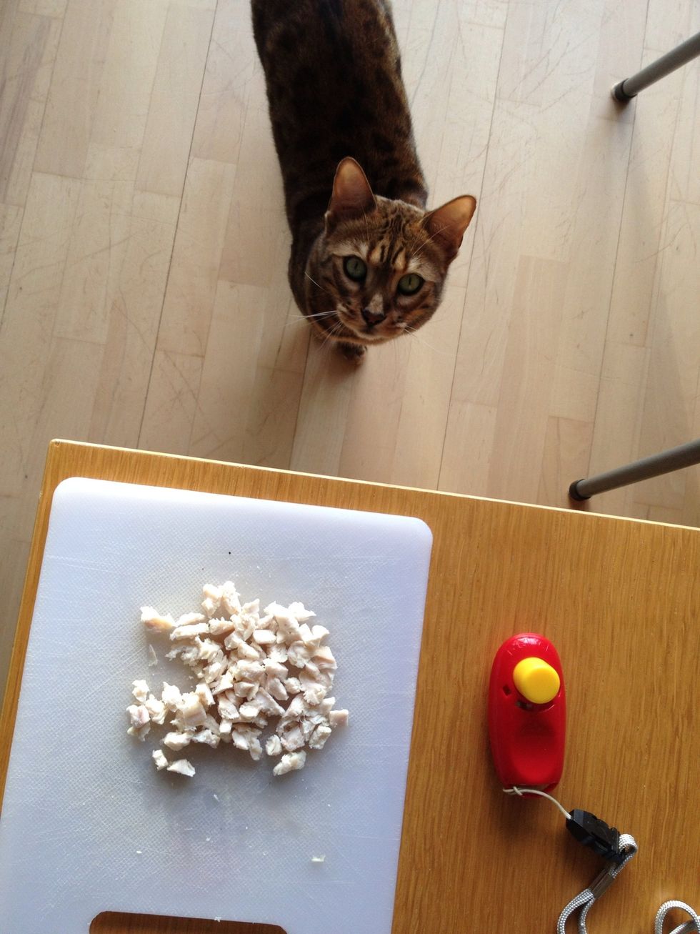 Gather your supplies :)