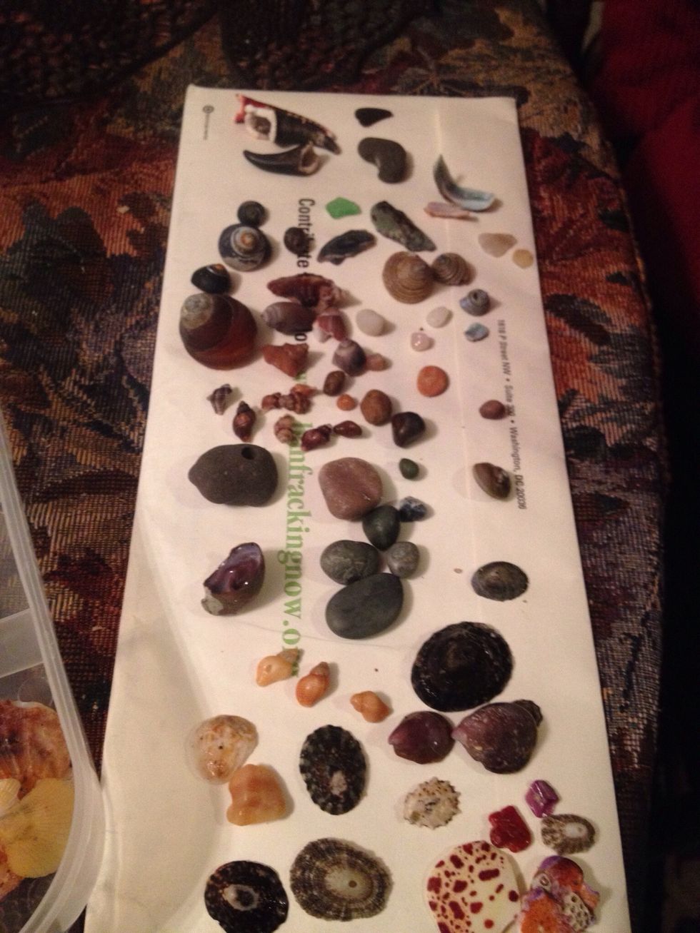 Gathering my own supplies- rocks seashells etc that I've collected at the tidepools.