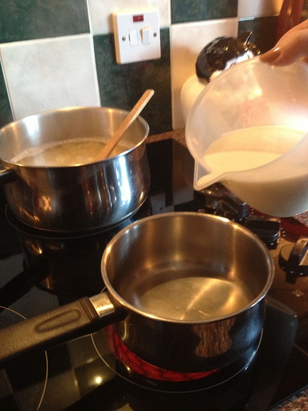 Gently heat 500ml of milk on a low heat