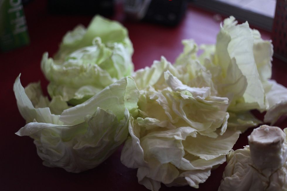 Gently unfold the cabbage leaves as best you can. It doesn't matter if you tear some leaves. We can fix anything.