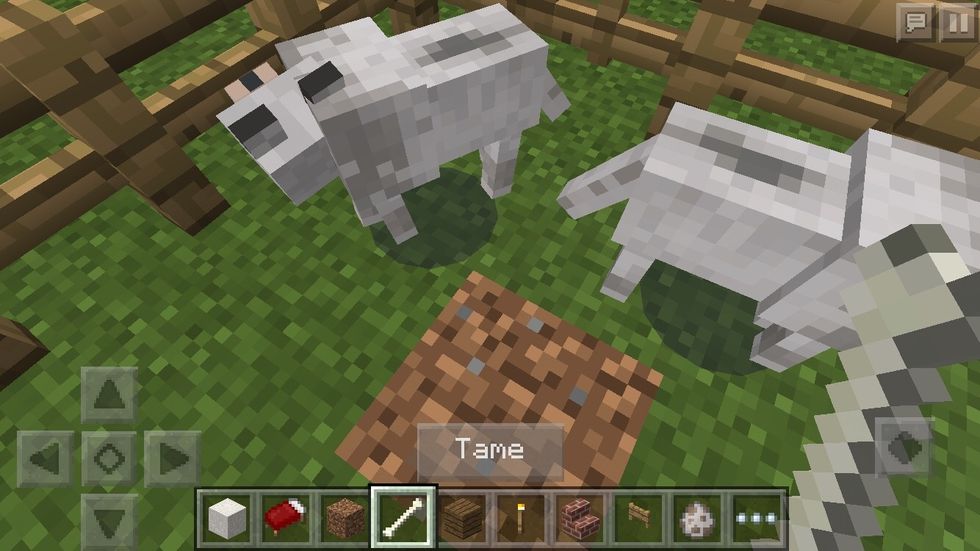 Get a bone in your hand and a button should pop up saying tame.