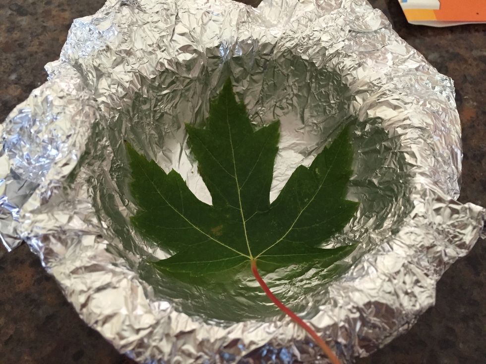 Get a bowl and wrap it with tin foil make sure the leaf fits