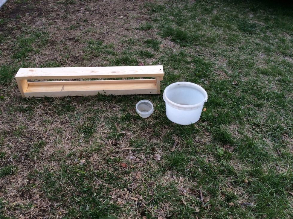 Get a container that you can put pigeon feed in and a cup.