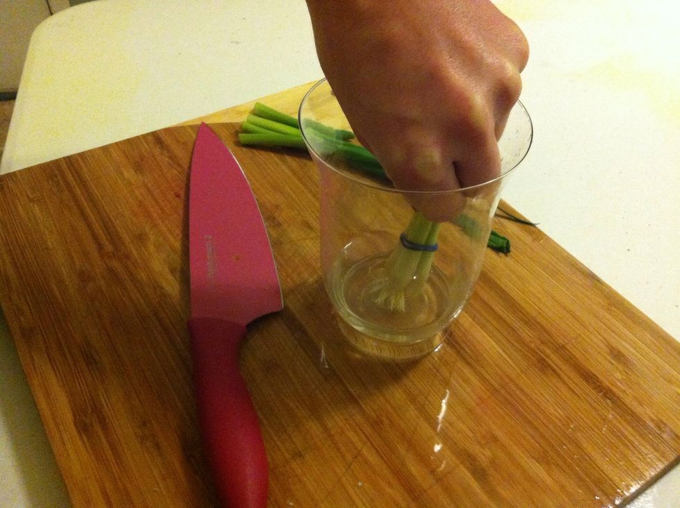 Get a glass with water inside it and set it up so that the water is not higher than your root...