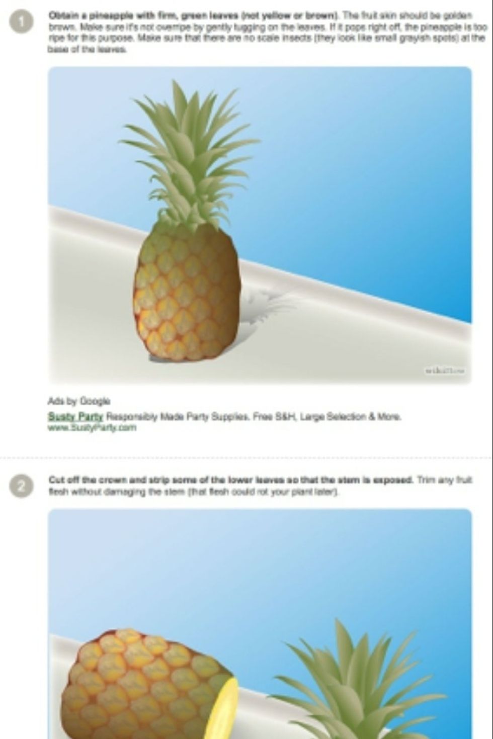 Get a pineapple with firm green leaves. The pineapple needs to be yellow and brown mixed
