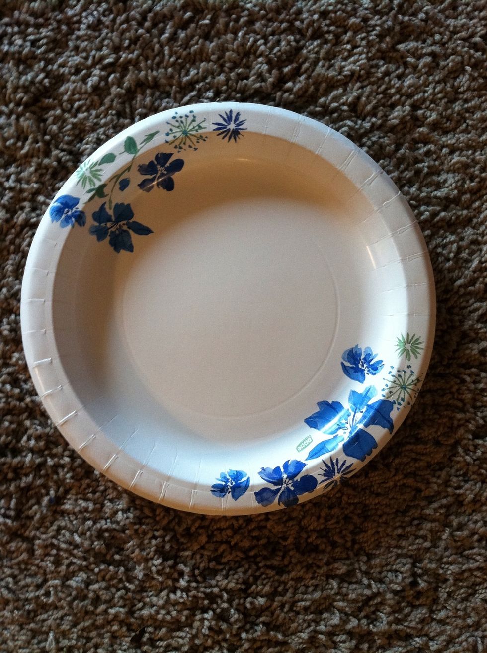 Get a regular-sized dinner plate.