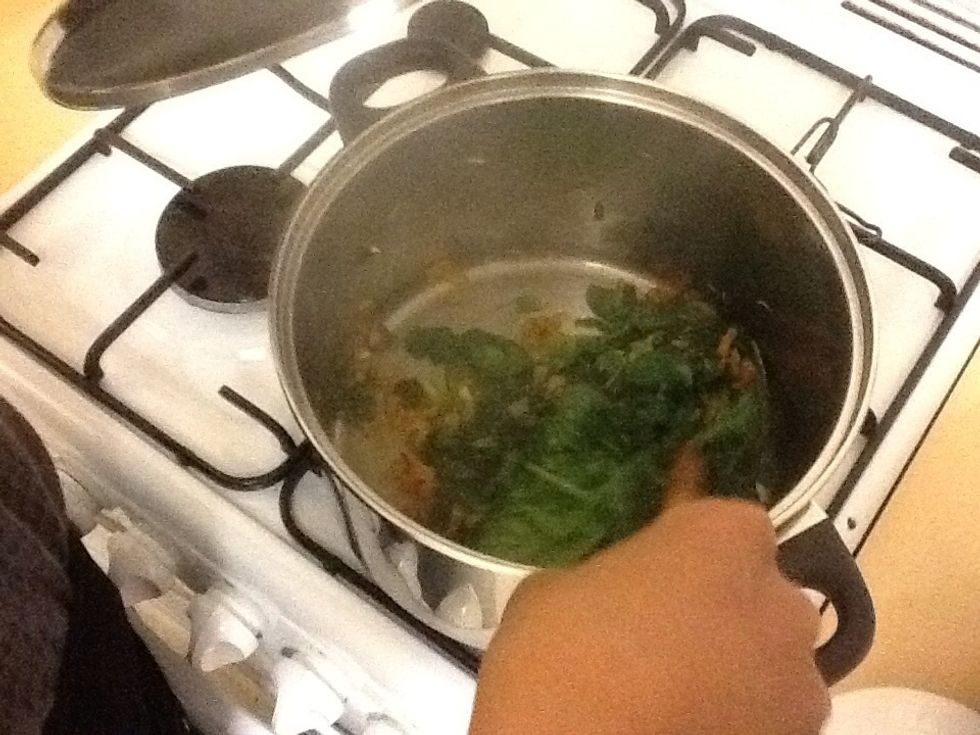 Get a tablespoon of water and add to the saucepan then add the Spring onion, Carrot, Garlic and Spinach then stir. After a minute or so put on the lid for five minutes sometimes lift and stir and cool